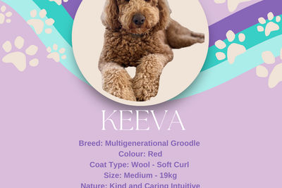 Keeva