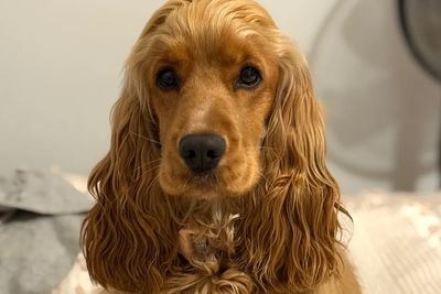 Ellie