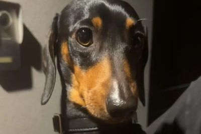 Kona
