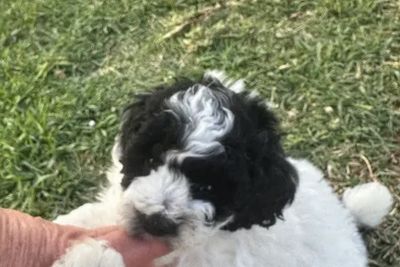 Winnie 