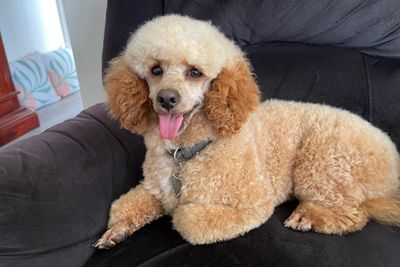Jax