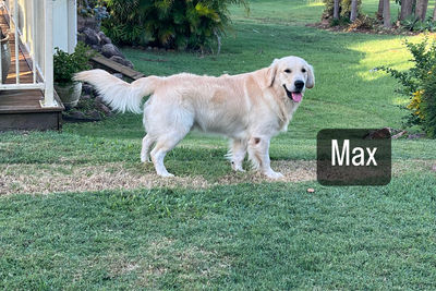 Max