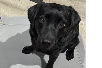 Ella