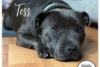 Tess