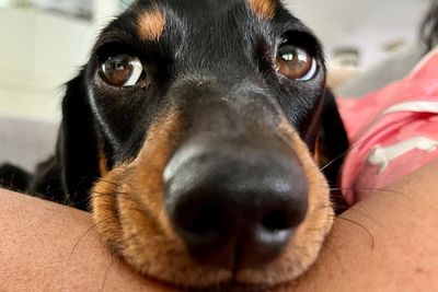 Daisy 