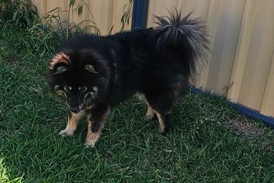Winnie