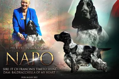 Napo