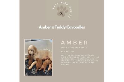 Amber