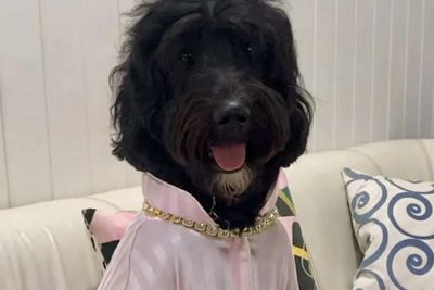 Scawoo Thoroughly modern Millie