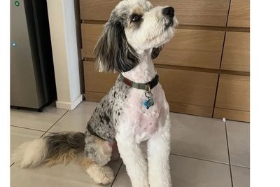 Murphy