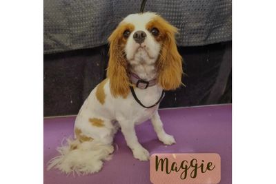 Maggie