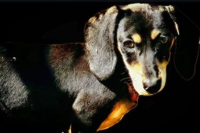 Lilos