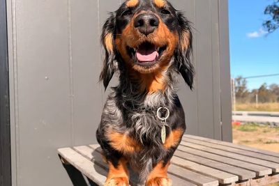 Jasper