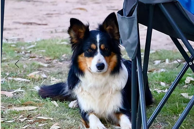 Molly