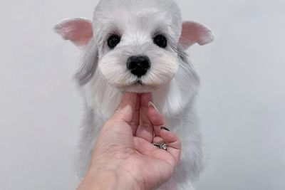 Xibao