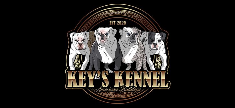 Key’s Kennel - American Bulldogs