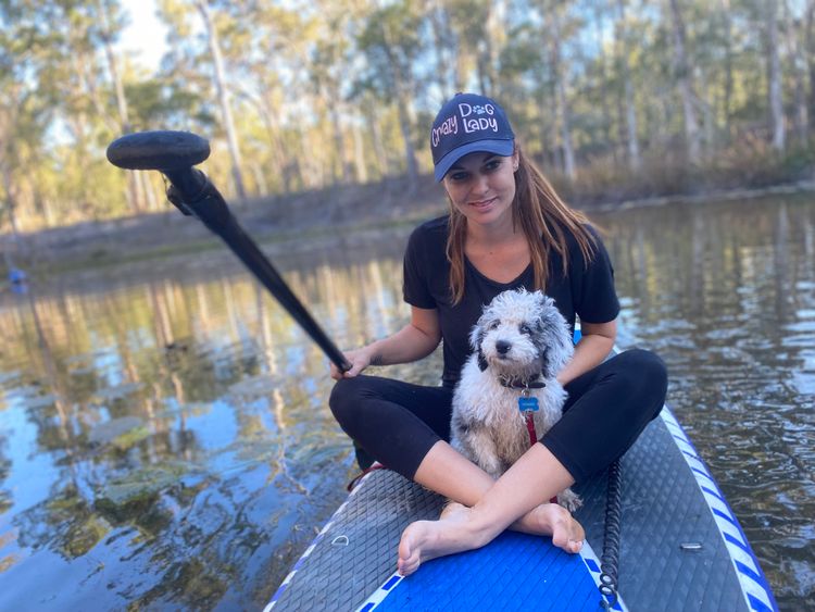 Bordoodles QLD