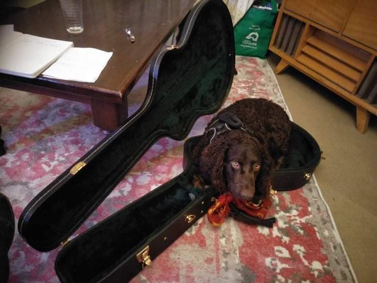 SA Murrays: Murray River Retrievers