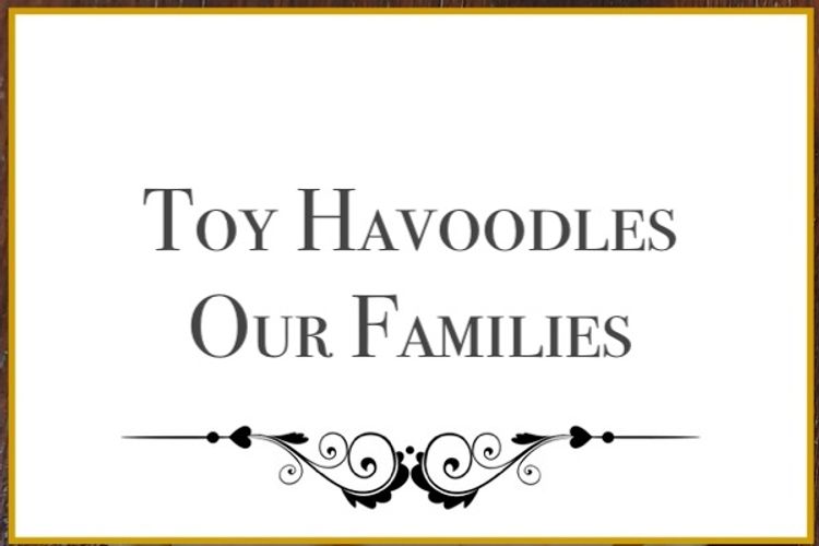 Lunabelle Toy Havoodles