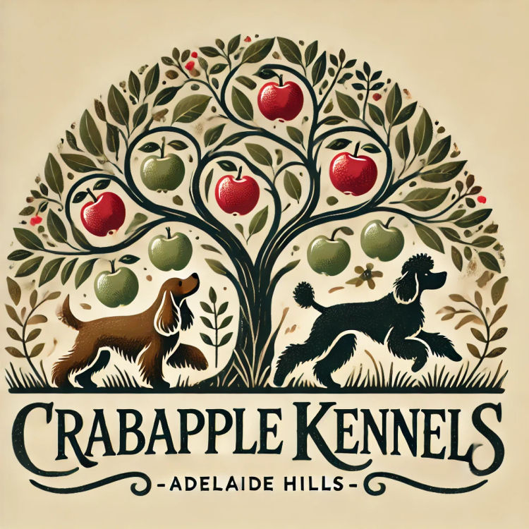 Crabapple Kennels - Spoodles