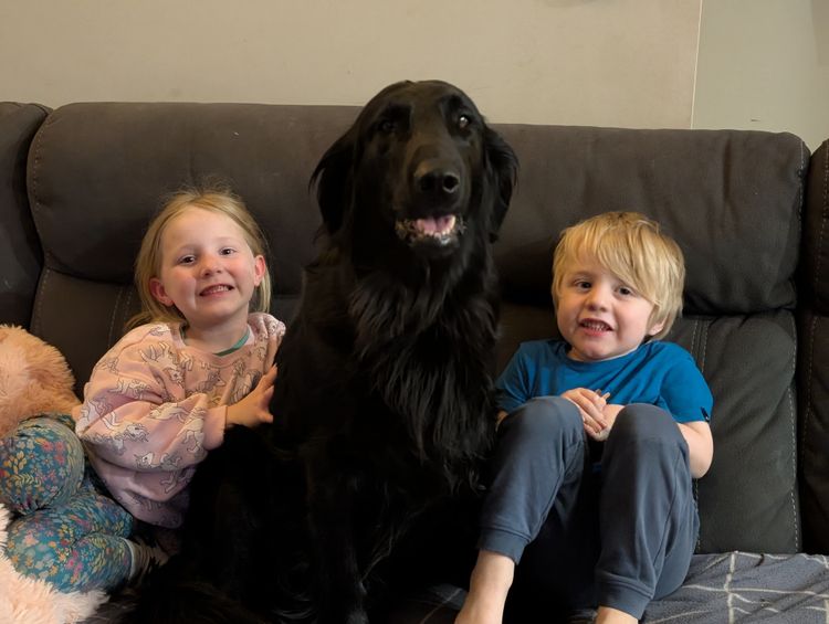 Jasprieve Flat Coated Retrievers