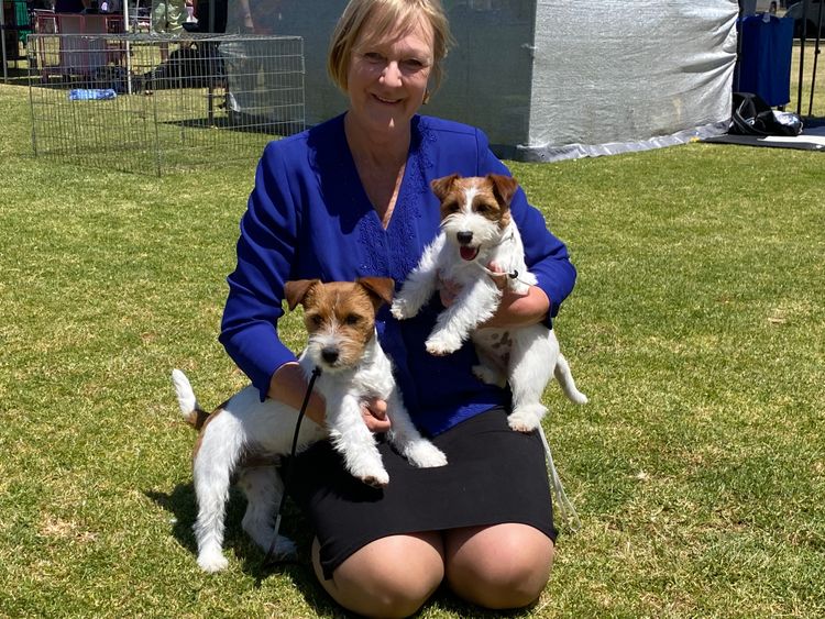 MAKLEWRA JACK RUSSELL TERRIERS