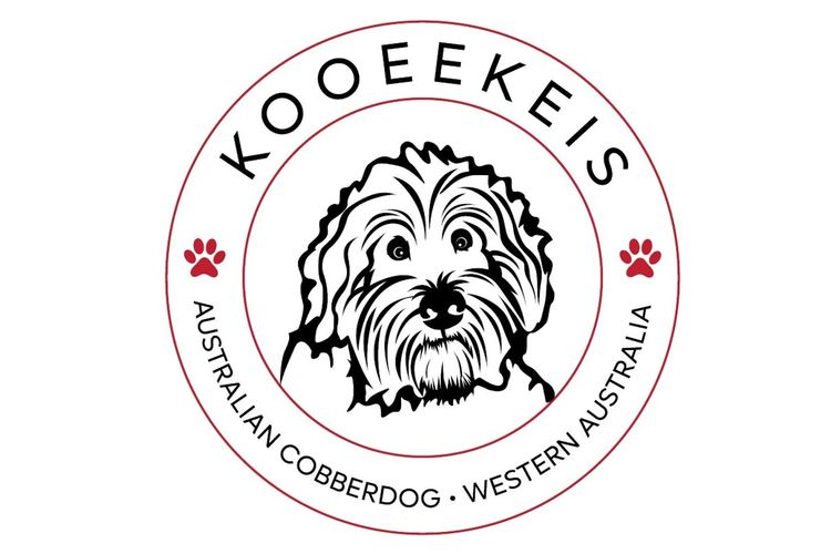 KooeeKeis Australian Cobberdogs