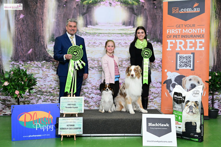 Eliteview Australian Shepherds & Papillons
