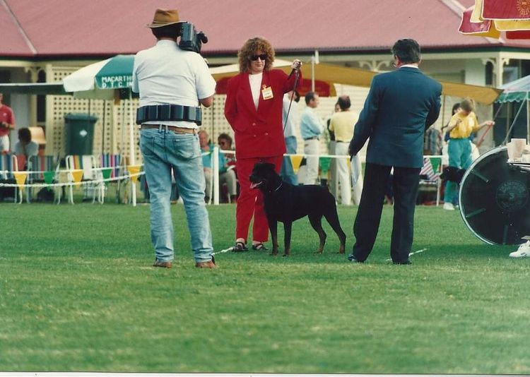 Dreistleigh Rottweilers