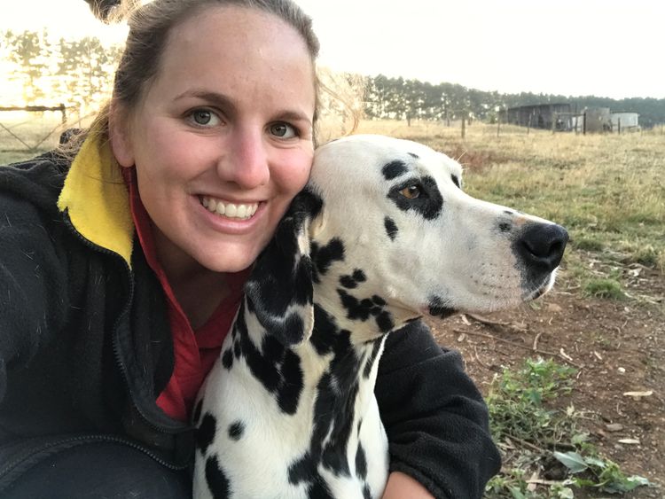 Edelevlek Dalmatians