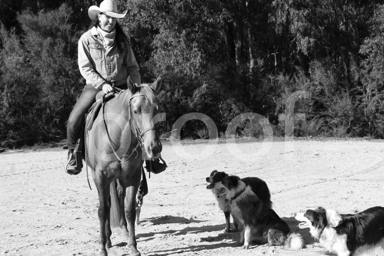 Blue Valley Ranch