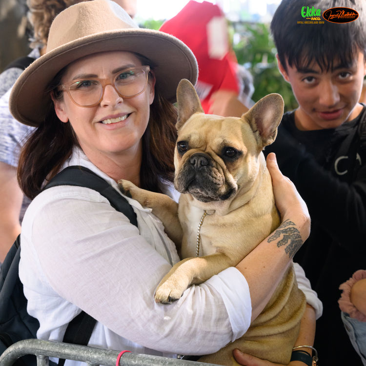 Meinrad French Bulldogs