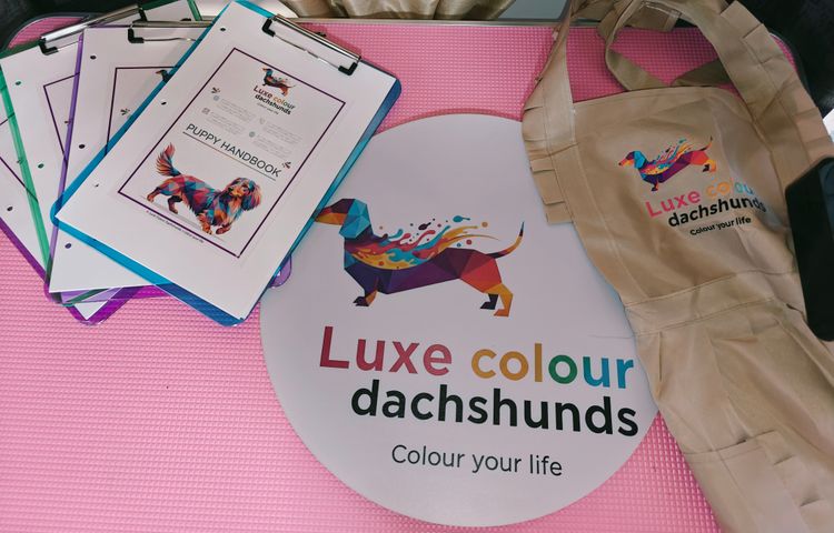 Luxe Colour Dachshunds