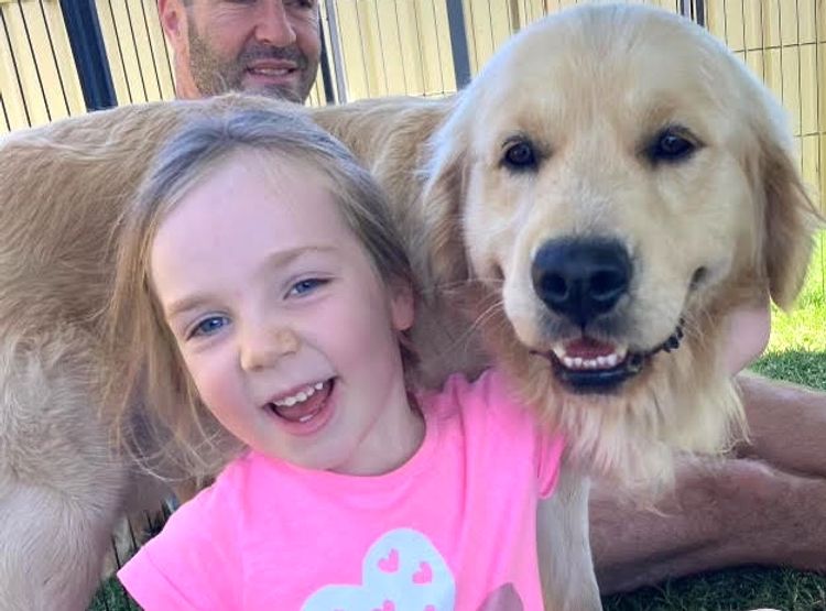 Trulore Golden Retrievers