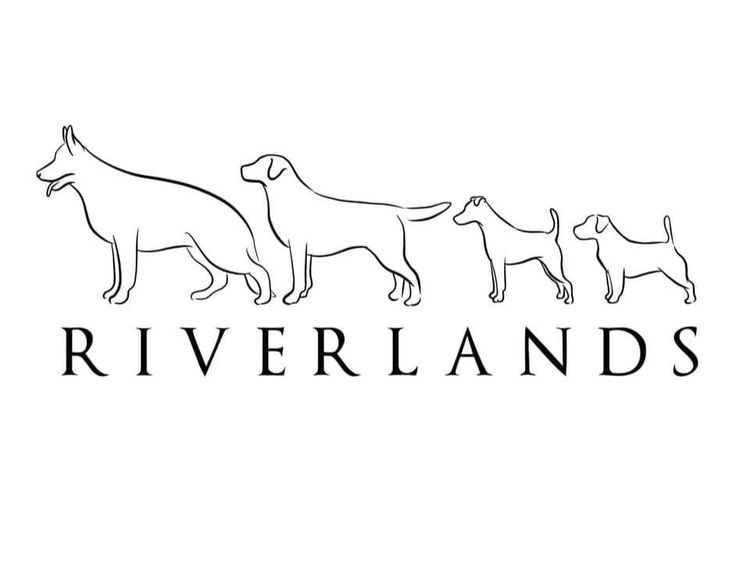 Riverlands Fox Terriers