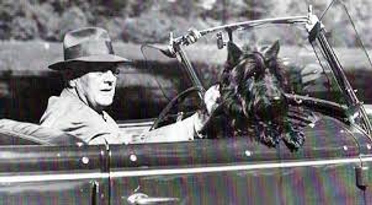 Calanclan Scottish Terriers
