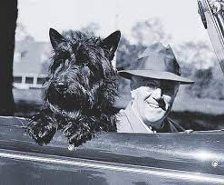 Calanclan Scottish Terriers
