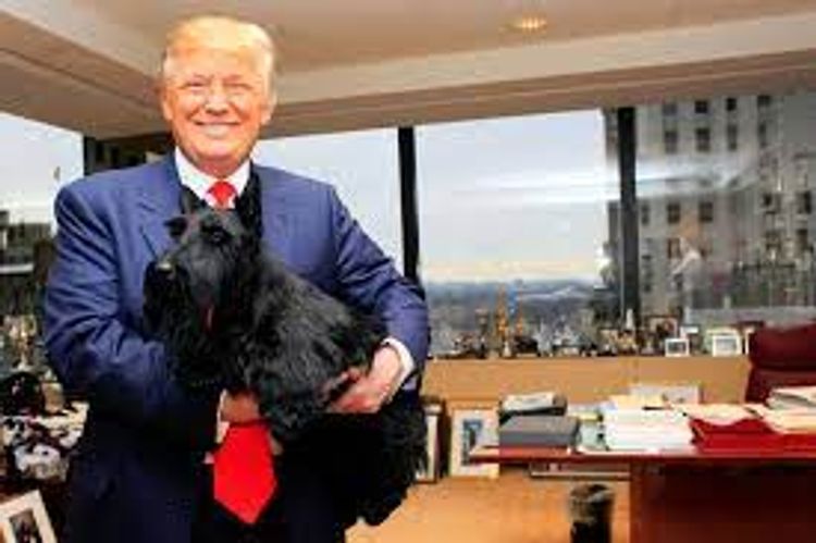 Calanclan Scottish Terriers