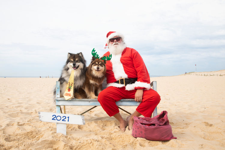 Aamurusko Finnish Lapphunds