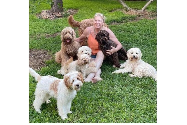 My-Lowanna-Lee Australian Cobberdogs