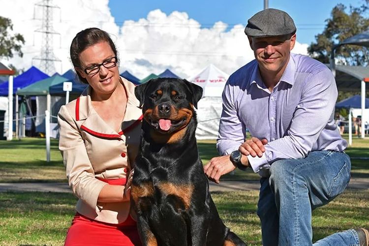 Gameguard Rottweilers