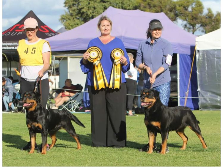 Gameguard Rottweilers