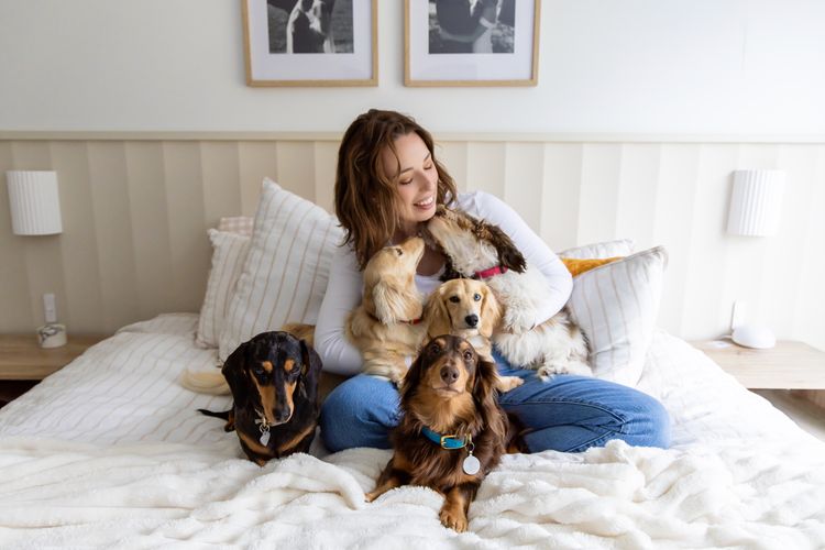 Cyran Canines Miniature Dachshunds (MDBA)