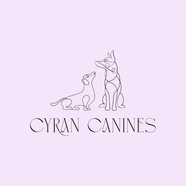 Cyran Canines Miniature Dachshunds (MDBA)
