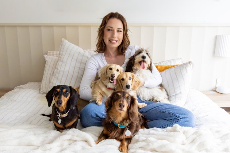 Cyran Canines Miniature Dachshunds (MDBA)