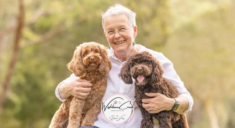 Wishbone Creek Cavoodles/Theodores