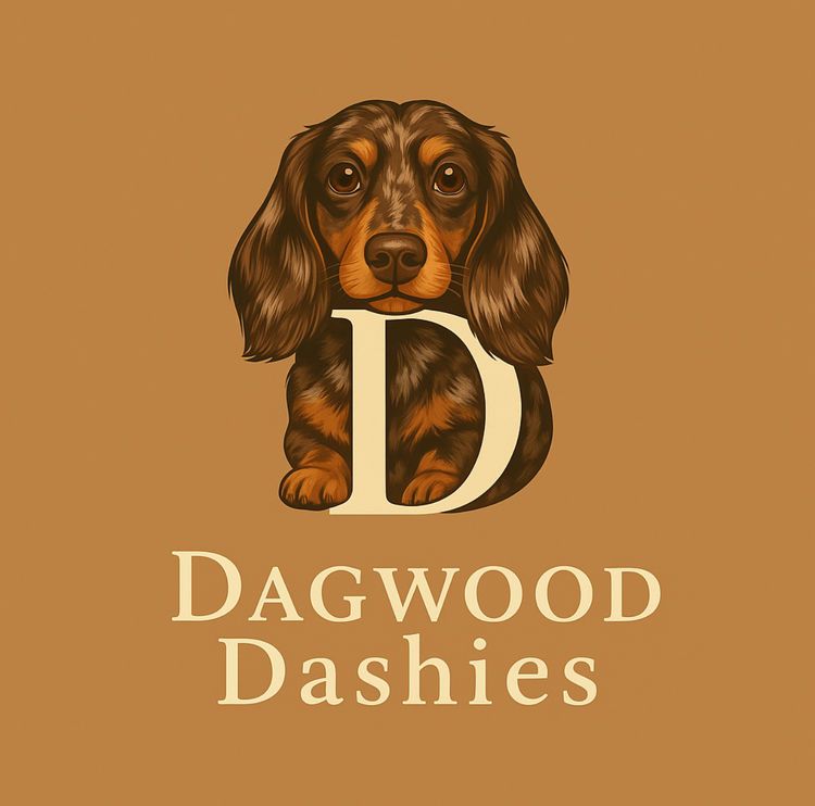 Dagwood dashies
