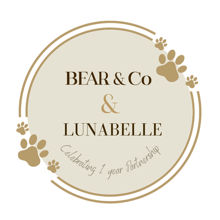 Lunabelle Tiny Toy and Toy Moodles
