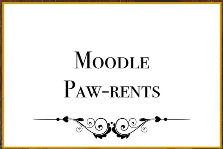 Lunabelle Tiny Toy and Toy Moodles