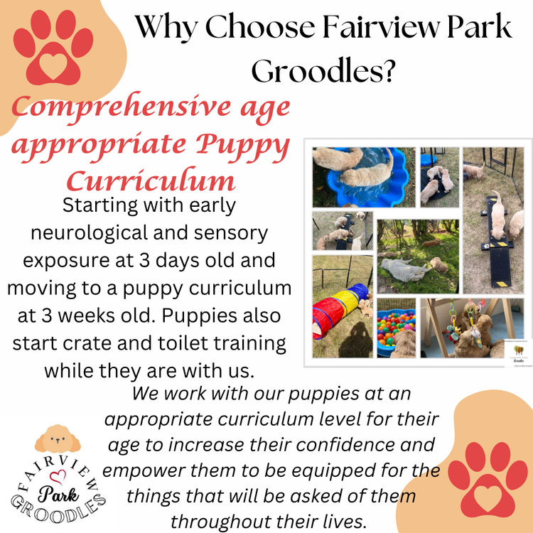 Fairview Park Groodles